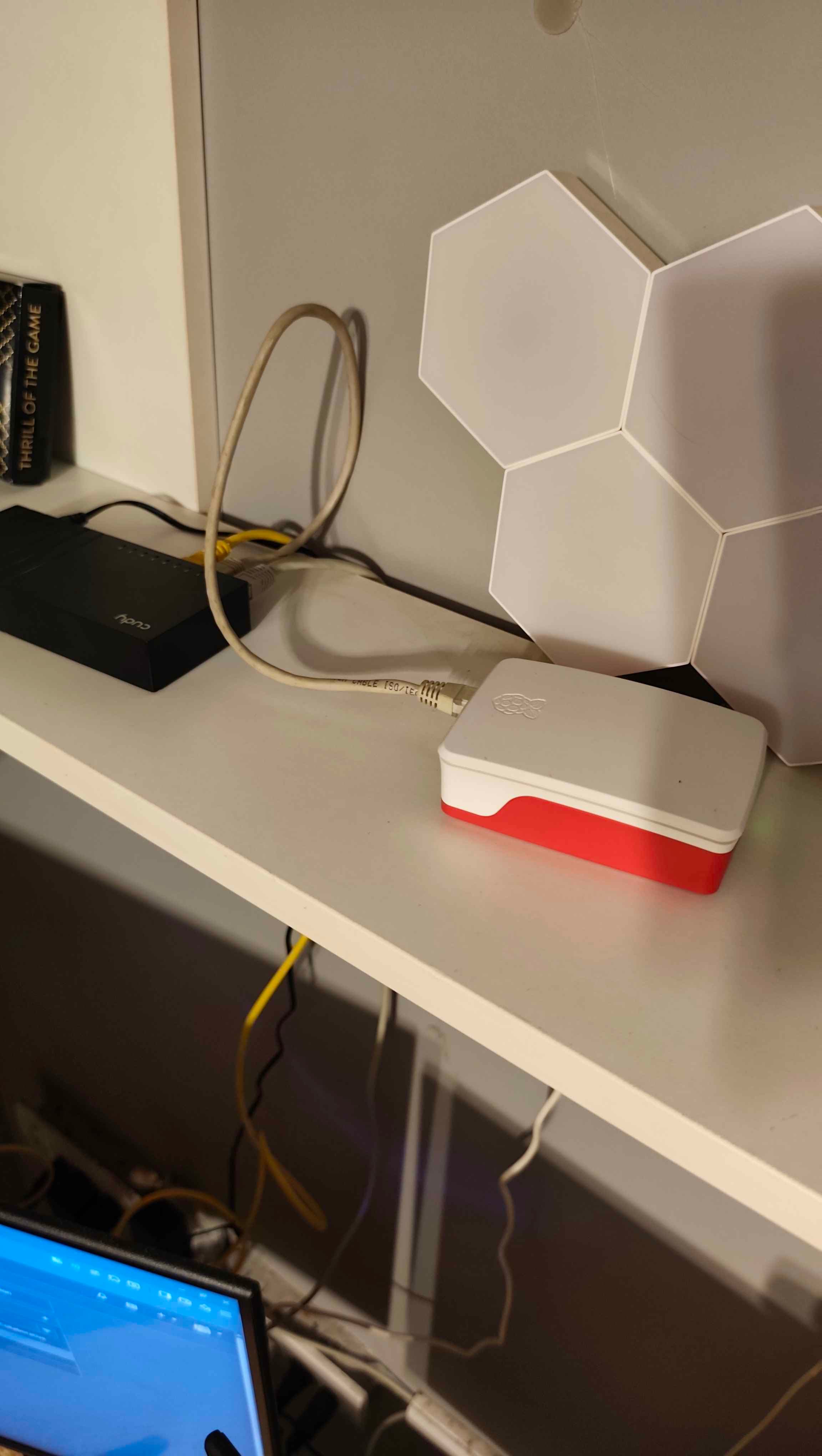 Raspberry Pi and network switch setup